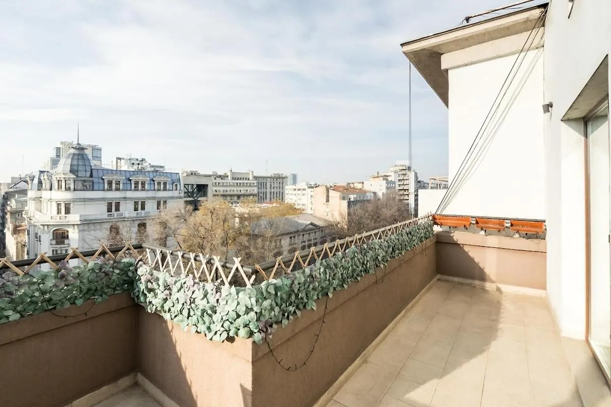 Sunny 2Br Roof Top Flat - Amazing Terrace Bucharest 0*,  Romania